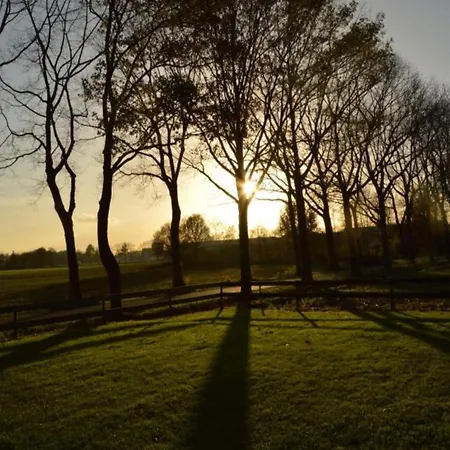 Dom wakacyjny De Open Schuur Elsendorp