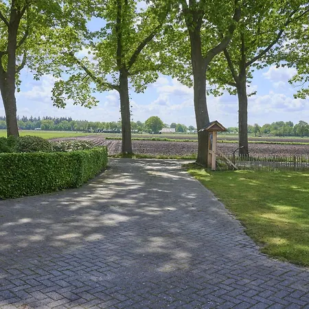 Vakantiehuis De Open Schuur Elsendorp